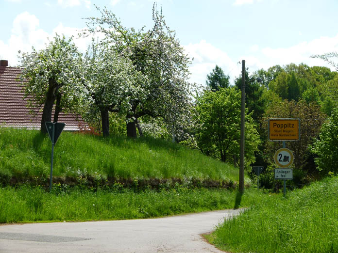 Village sign and flowering fruit trees